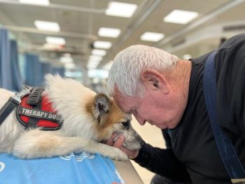 Animal-Assisted Therapy