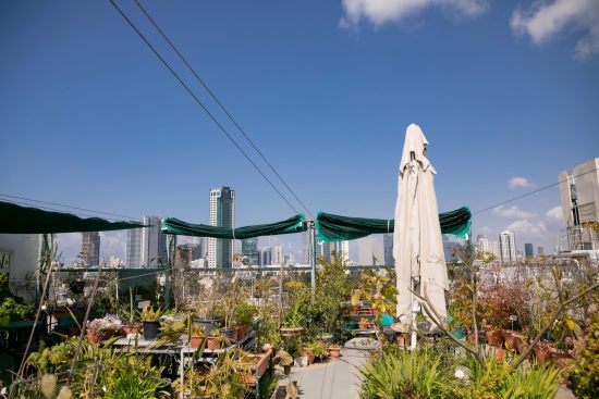 גינה טיפולית בית החולים השיקומי רעות תל-אביב